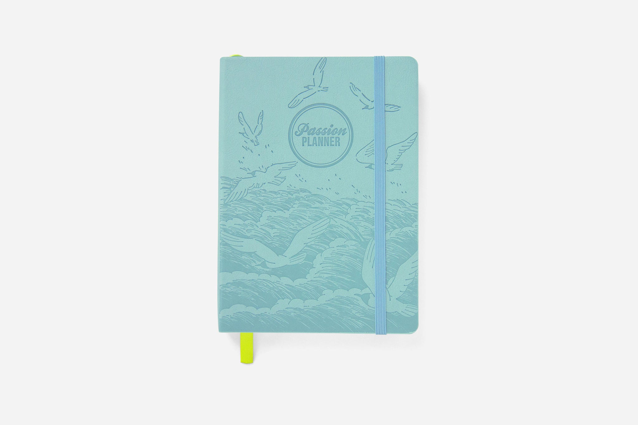 Artic Blue Passion Planner Daily 